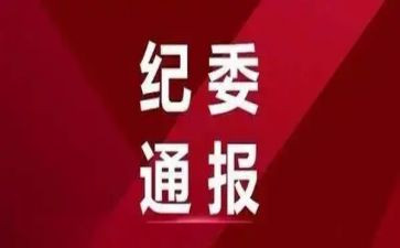镇纪委工作计划8篇