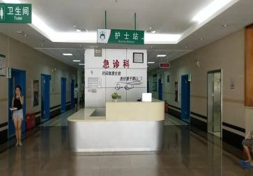 2024年急诊科年度工作总结推荐6篇