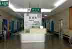 2024年急诊科年度工作总结推荐6篇