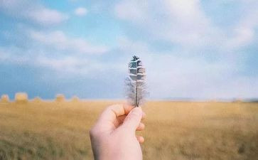 人生抉择的作文8篇