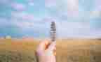 人生抉择的作文8篇