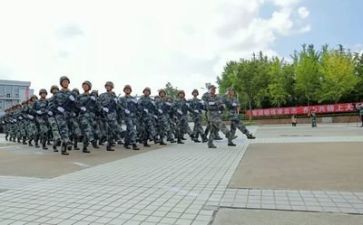 军训14天心得体会6篇