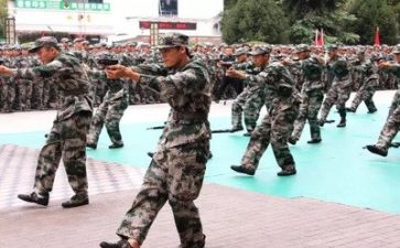 军训的体会心得体会参考5篇