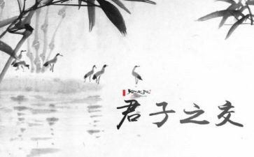 种君子兰的作文精选6篇