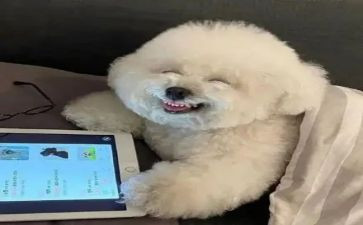 我真开心作文400作文7篇