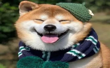 开心的春节作文5篇