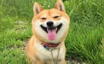 我开心的事作文400字6篇