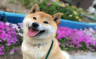元旦开心的事作文7篇