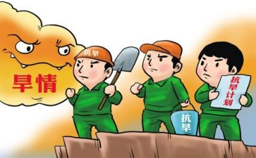 2024防汛抗旱工作总结优秀6篇