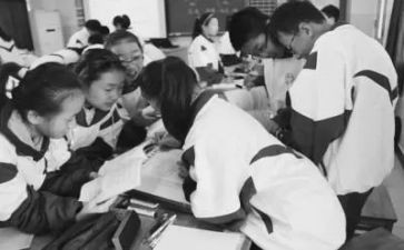 对小学数学课改心得体会7篇