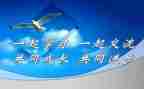 写课改心得体会模板7篇