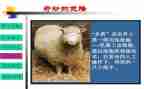假如我会克隆作文7篇