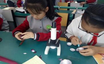 小学科学课工作总结优质8篇