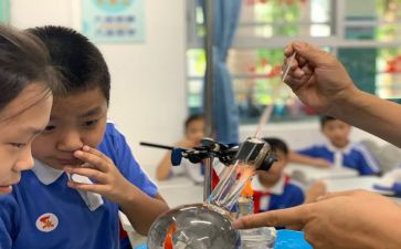 小学科学课工作总结精选5篇