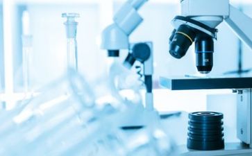 科研工作计划5篇