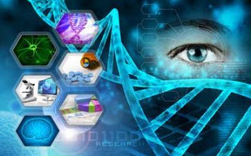 2024年科研员个人总结通用6篇