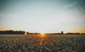 苦难高中作文最新5篇