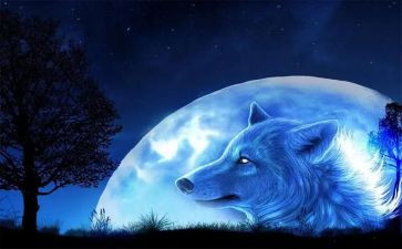 《狼王梦》读后感推荐7篇