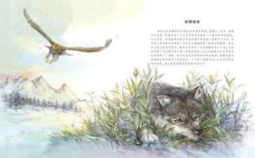 《狼王梦》读后感8篇