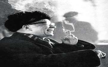 读老舍我的母亲读后感8篇