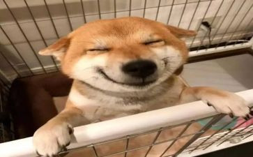 小学音乐教师教学计划7篇