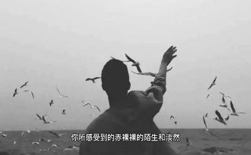 离开雷锋的日子电影观后感6篇