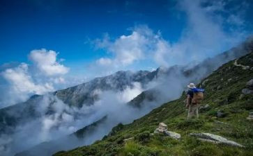 历练的读后感5篇