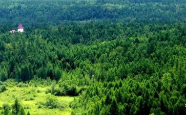 卖林地合同参考5篇