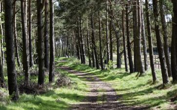 卖林地合同精选8篇