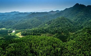 卖林地合同最新6篇