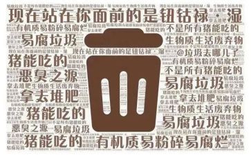 垃圾电厂个人年终总结8篇