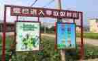 捡垃圾和垃圾分类心得体会模板5篇