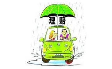 理赔员的工作总结6篇