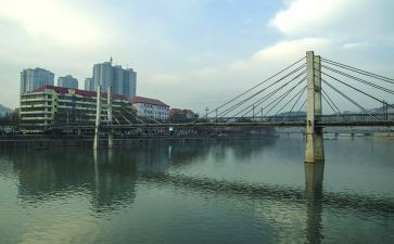 《柳林风声》读后感400字_读后感5篇