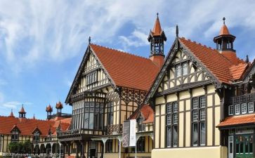 关于留学生作文通用6篇