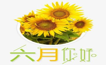 幼儿园小小班六月份工作总结8篇