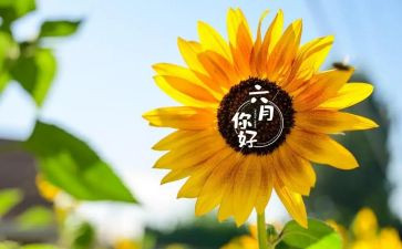 六月份托班工作计划8篇