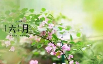 小班六月工作总结6篇