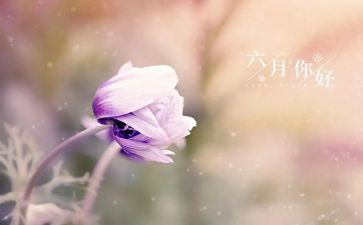 小班六月份月工作总结7篇