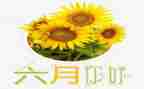 幼儿园小小班六月份工作总结8篇