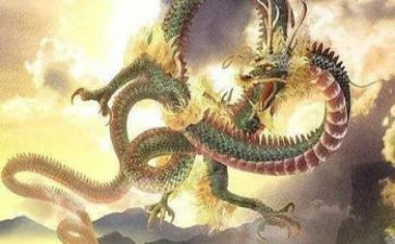 幼儿园中班龙来了心得体会参考5篇