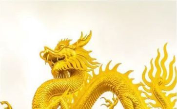 龙的传人的演讲稿8篇