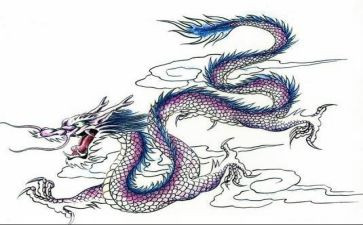 幼儿园中班龙来了心得体会8篇