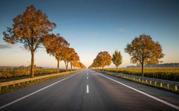 贯彻新时代党的组织路线心得体会6篇