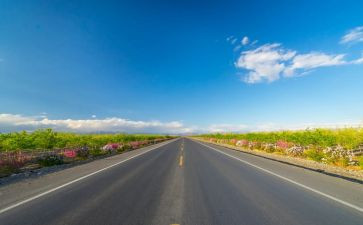 路队建设心得最新5篇