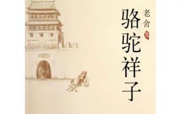 骆驼祥子的读后感600字5篇