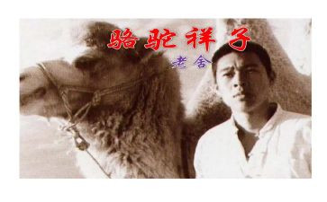 《骆驼》的读后感优质7篇