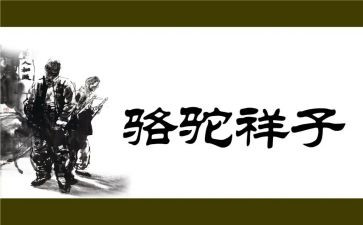 骆驼祥子感悟及心得6篇