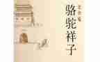 《骆驼》的读后感7篇