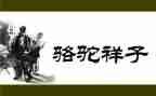 骆驼祥子感悟及心得6篇